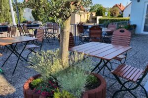 Restaurant Olivenbaum