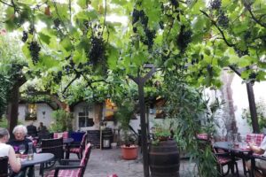 Restaurant Pizzeria Zur Rose