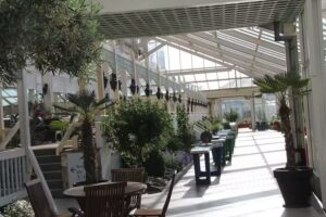 Restaurant Windrose
