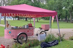 Rheingauer Eisträume