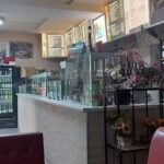 Roj Döner