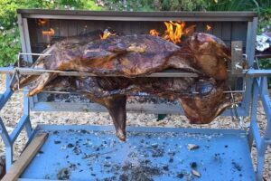 Saal’s Catering