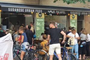Safari Falafel