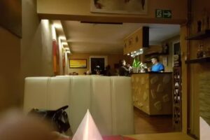 San Carlo