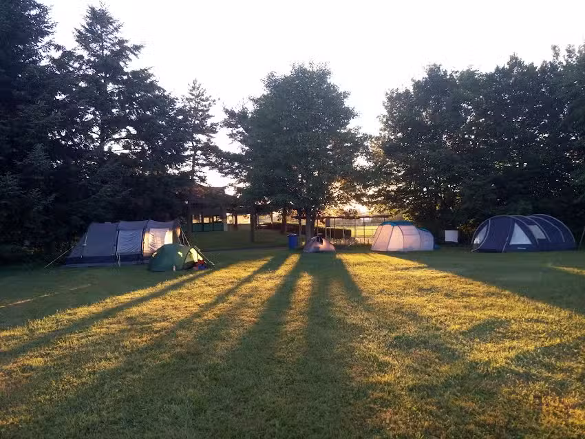 SC Friedrichshafen 1950 e.V.