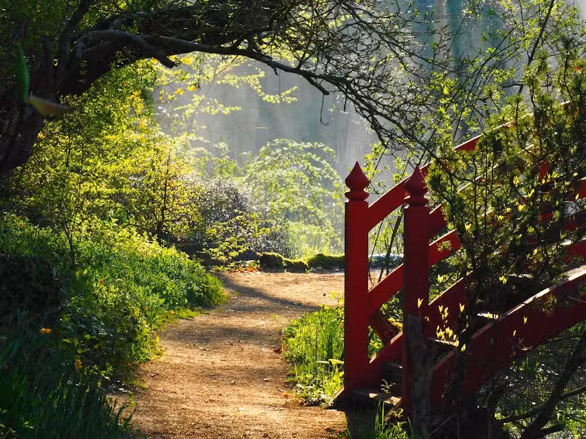 Schlosspark Dennenlohe