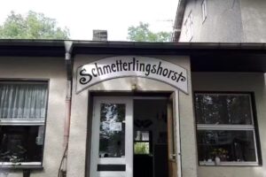 Schmetterlingshorst