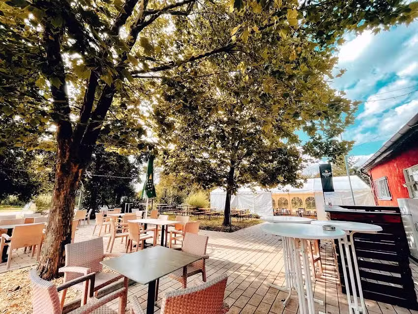 Schnecken Schenke Weiher