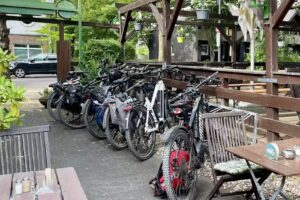 Schwalbennest am K&ouml;nigsforst