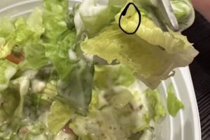 Sepp&rsquo;s Bistro