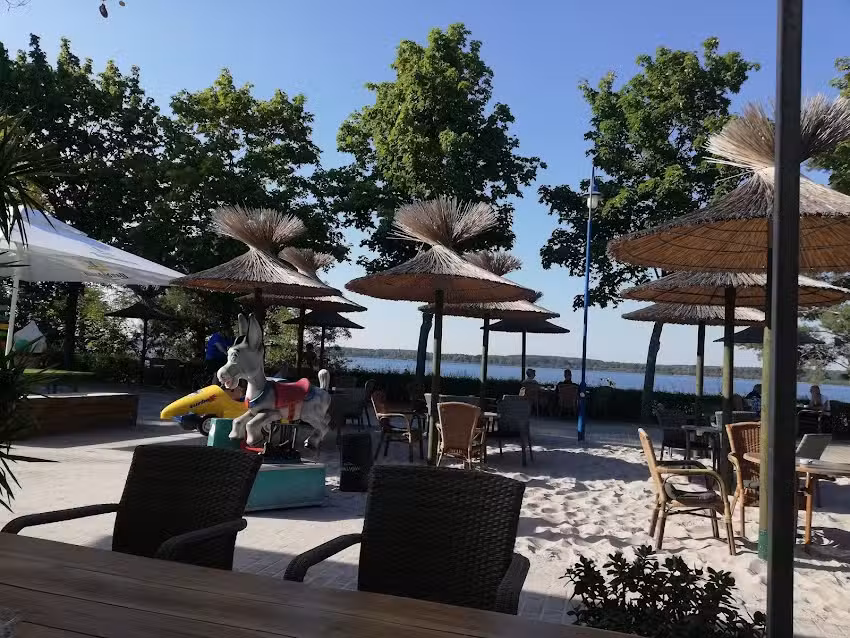 Sharky&rsquo;s Gro&szlig;koschen