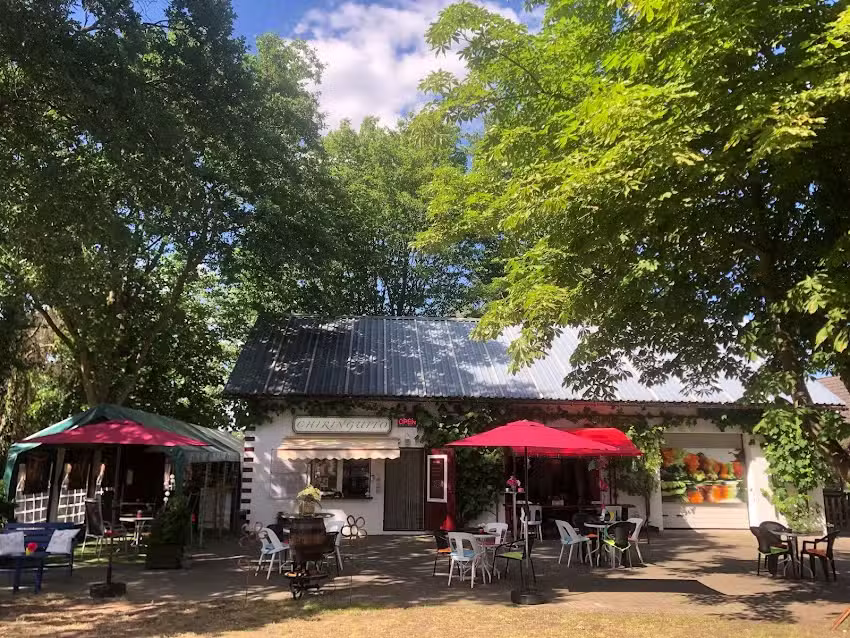 Snack Bar Chiringuito