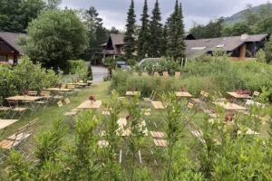 Sommergarten am Wolfstein