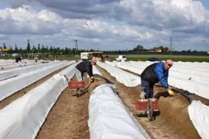 Spargelhof Märkerland