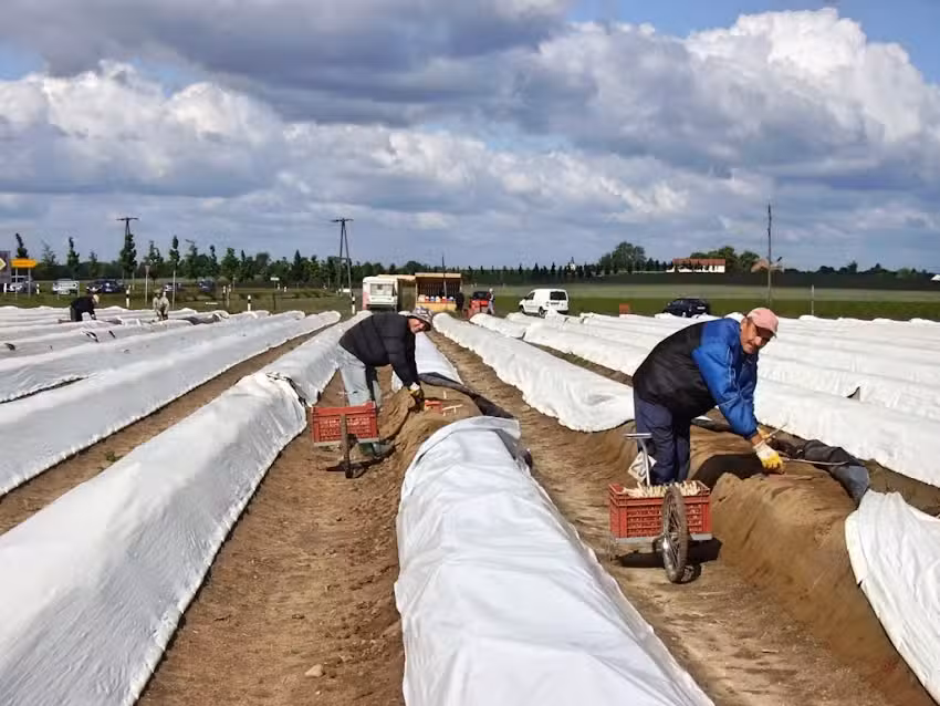 Spargelhof M&auml;rkerland