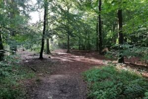 Spielwiese Stetten