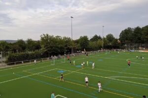 SpVgg Holzgerlingen e.V.