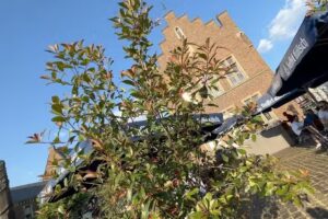 Stadtgarten Lechenich