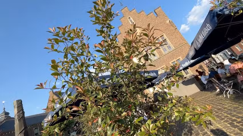 Stadtgarten Lechenich