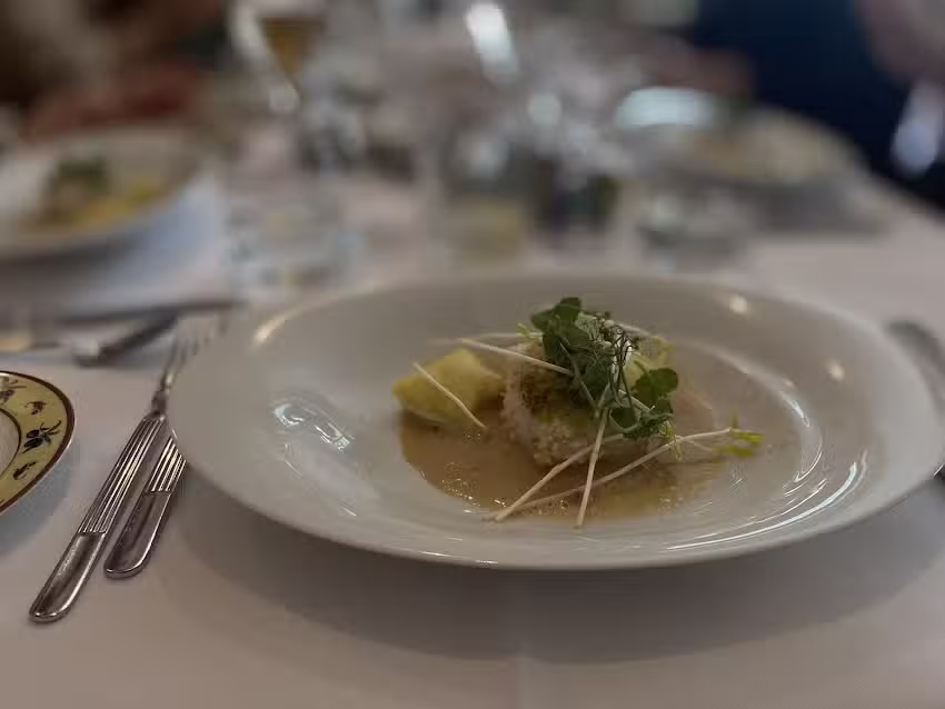 Steinberg-Deckenardt