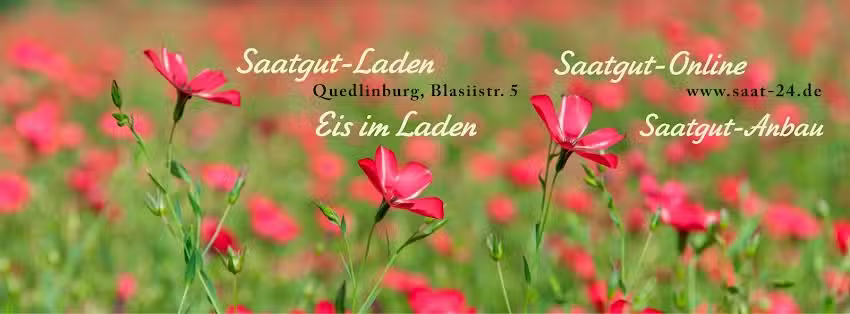 StiftsGarten Quedlinburg Kay-Uwe Petrich