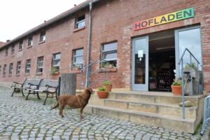 Stiftsgut Wilhelmsglücksbrunn – Hofladen & Bistro