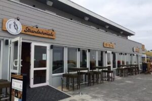 Strandbar Seehund