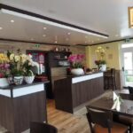 Sushi Haus