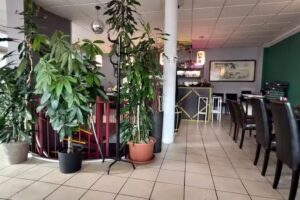 Sushi Shiki Gr&ouml;benzell