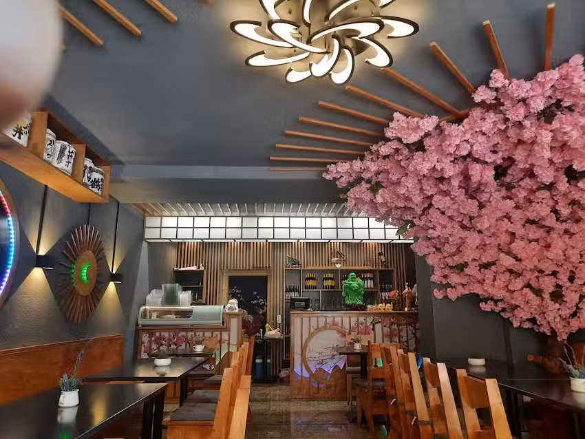 Thai Sushi Bar Asia K&uuml;che Bernburg