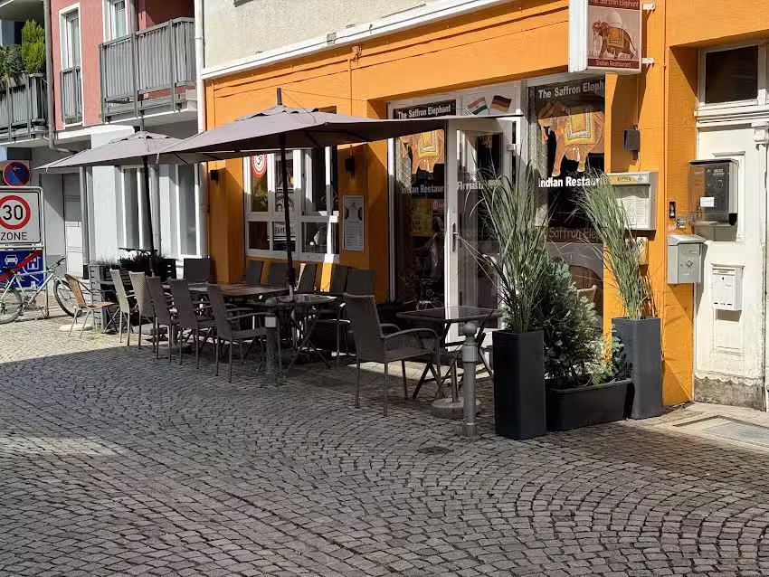 The Saffron Elephant