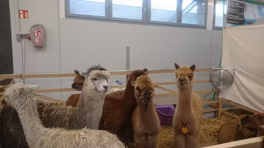 Tierzuchtklause Bayreuth