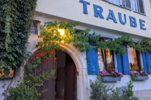 Traube