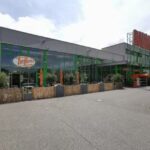 Trefferia im Globus Baumarkt
