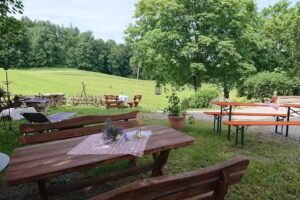 Turnerheim Spinnenhirn