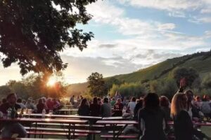 Uferweinfest Randersacker