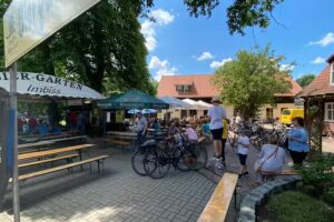 Unter der 250 jährigen Eiche