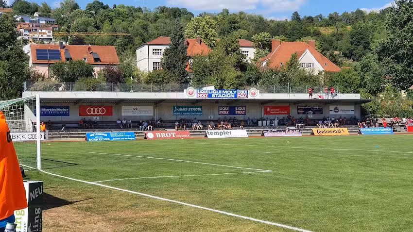 VfB Eichst&auml;tt 1920 e.V.