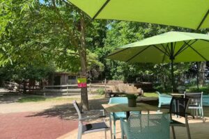 Vielfalter BISTRO AM ZOO