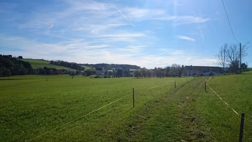 Wagensp&ouml;ck Matthias