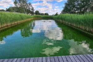 Waldbad Tiefenbach