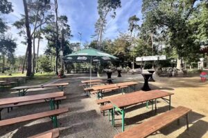 Waldbembel R&uuml;sselsheimer Biergarten