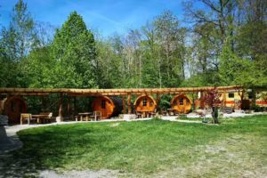 Waldcamping Hollenbacher See – Wachter KG