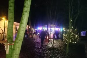 Weihnachtswald Kleinenheerse