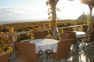 Weingut | Gutsausschank Goldatzel