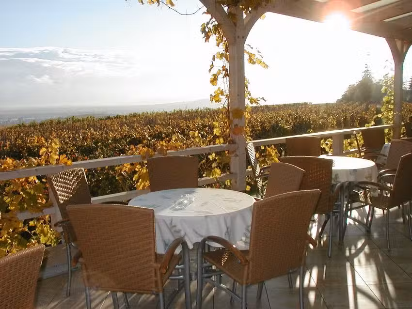 Weingut | Gutsausschank Goldatzel