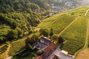Weingut Nägelsförst