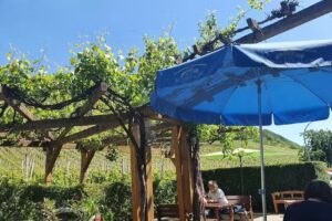 Weingut Restaurant Berninger &ndash; J&uuml;rgen Berninger