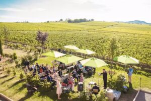 Weingut Vögeli – Dirk Vögeli