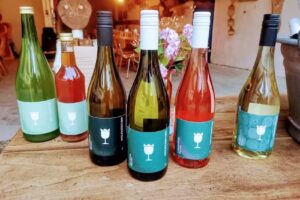 Weingut Wolf|Grether